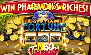 Casino VIP N60